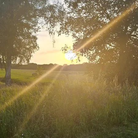 Wohnmobilstellplatz In Mecklenburg-vorpommern - Ab Juni Dixi Wc Carpin