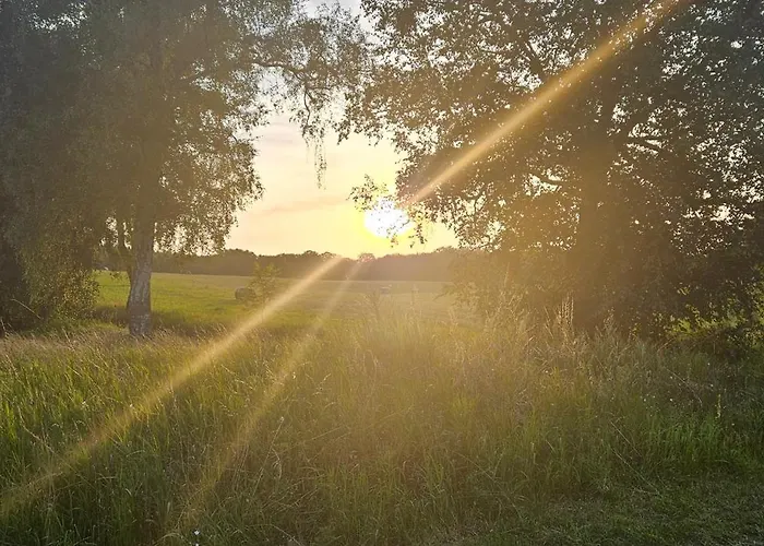 Wohnmobilstellplatz In Mecklenburg-vorpommern - Ab Juni Dixi Wc Carpin
